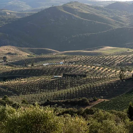 Acushla Golden House Douro