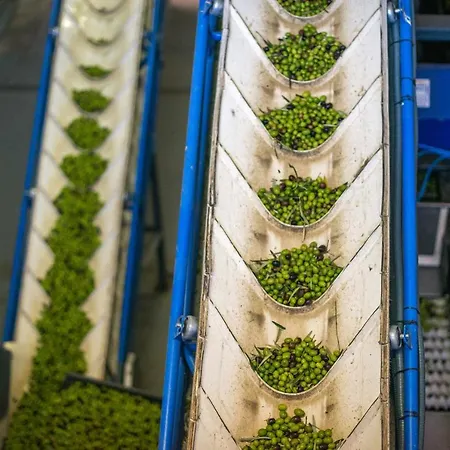 Acushla Golden House Douro * Lodoes