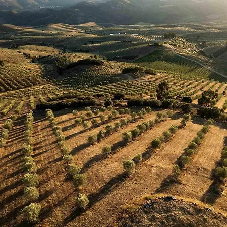 Acushla Golden House Douro * Lodoes