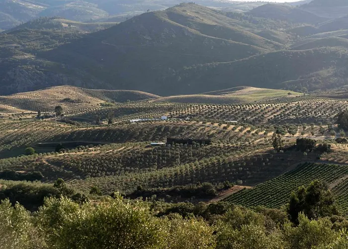 Acushla Golden House Douro