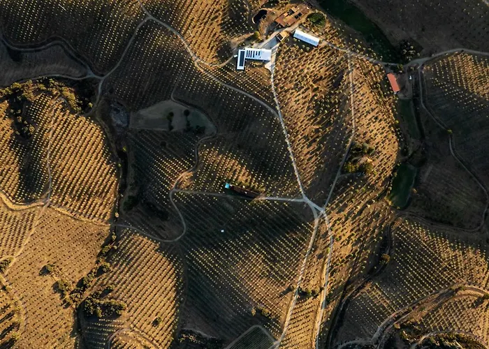 Acushla Golden House Douro Chalet *