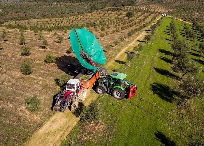 Acushla Golden House Douro