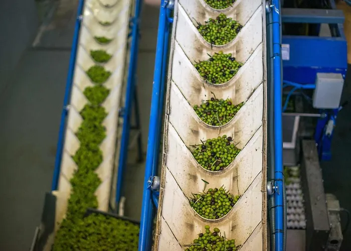 Acushla Golden House Douro * Lodões