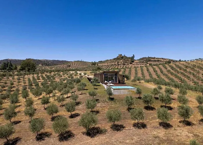 Acushla Golden House Douro Chalet