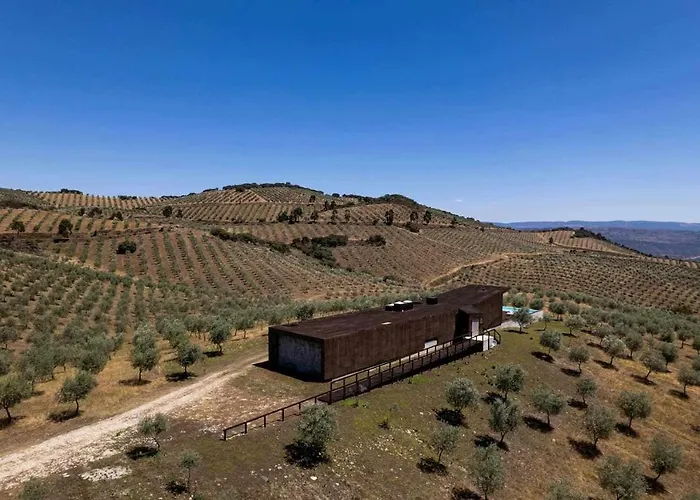 Chalet Acushla Golden House Douro *