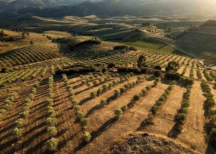 Acushla Golden House Douro * Lodões